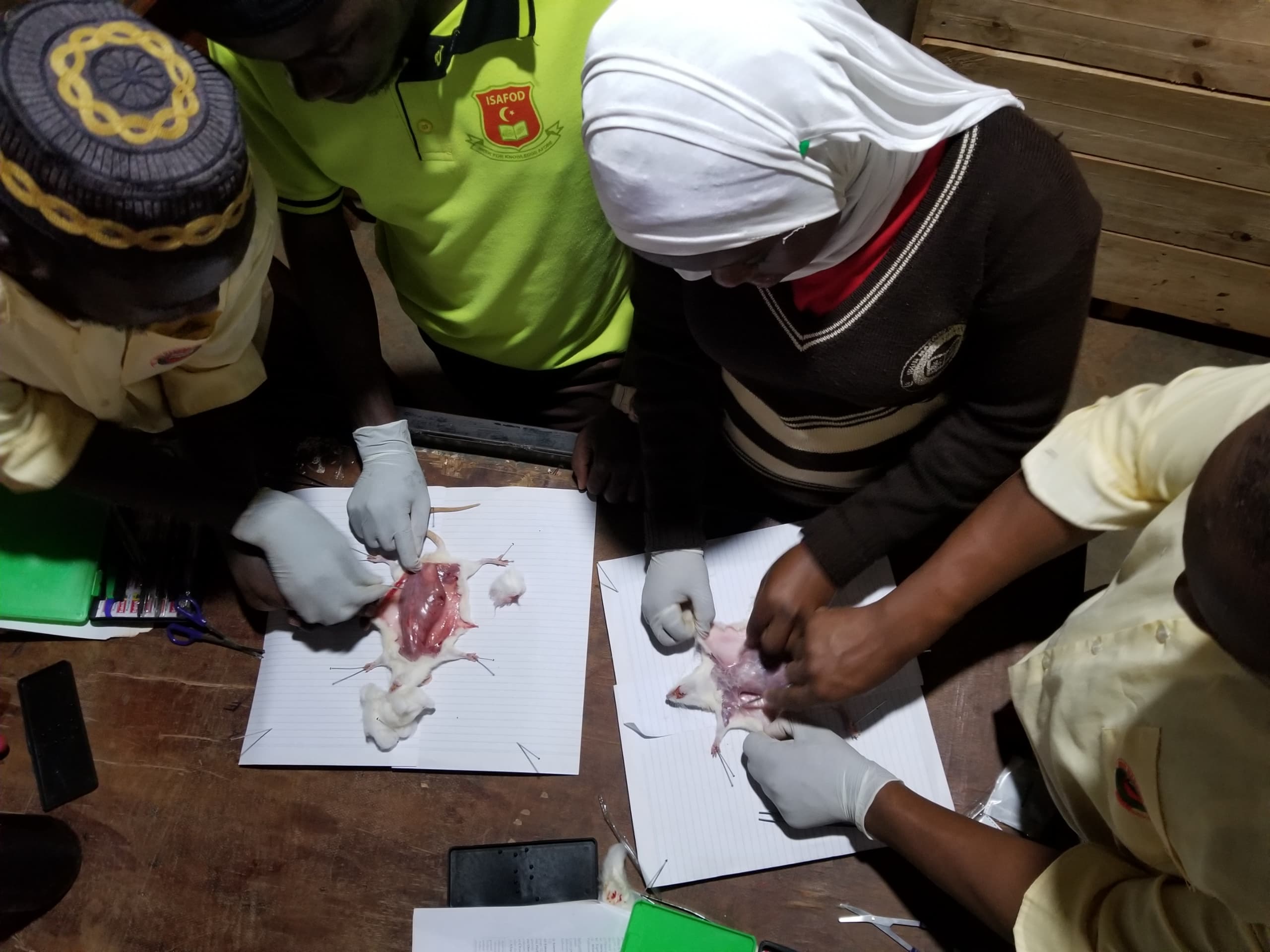 Classroom Activity